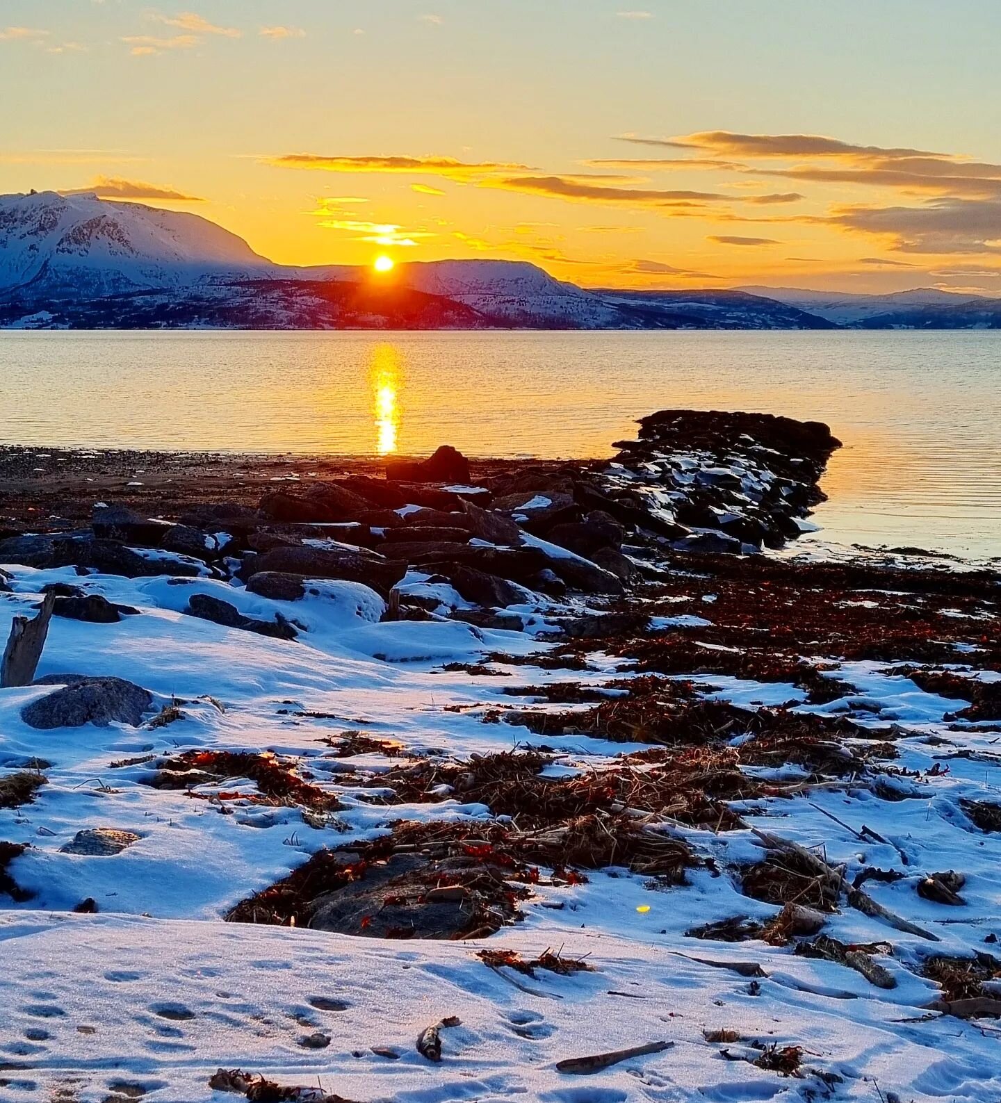 Og sn&oslash;en hvisket
Og isen lo
De trodde begge
At v&aring;ren dro

Men sola og tjelden
Og skjellet fra i fjor
Smilte alle ved synet
Av Aprils nye spor