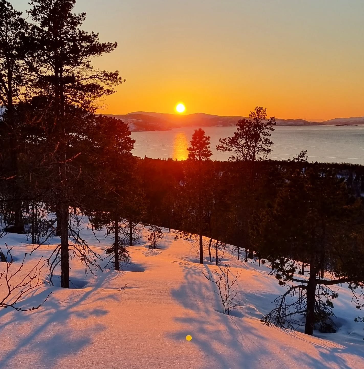 Hei!🙋&zwj;♀️
H&aring;per p&aring;ska har v&aelig;rt god for deg.
Jeg avslutta med en superfin skitur i selskap med kveldssola.
Har v&aelig;rt litt stille fra meg i det siste- men jeg ER her. Og det er faktisk viktig &aring; ta inn over seg innimello