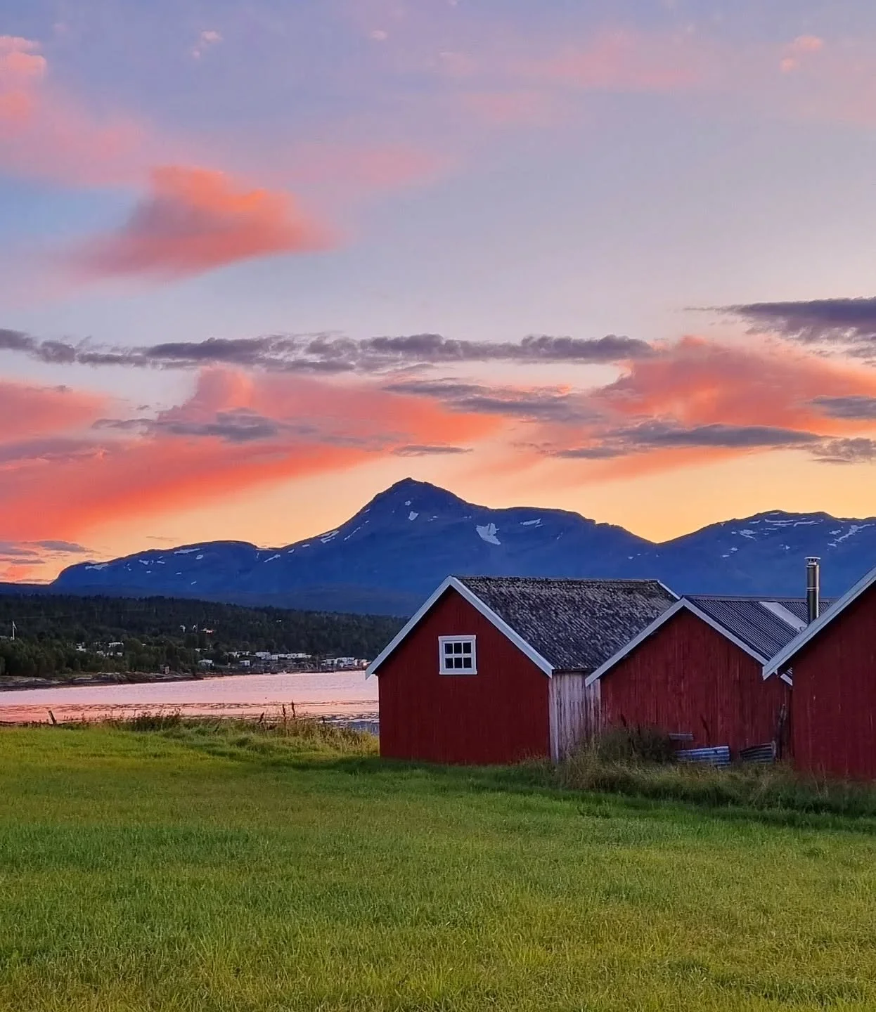 Svalene reiste for lenge siden.
Linerla også. Jeg så henne den ene dagen, vippende på gårdsplassen mellom husene, munter som alltid. Neste dag stille.
Men i skogkanten synger granmeisen som om det er juni, og ved havet g&ari