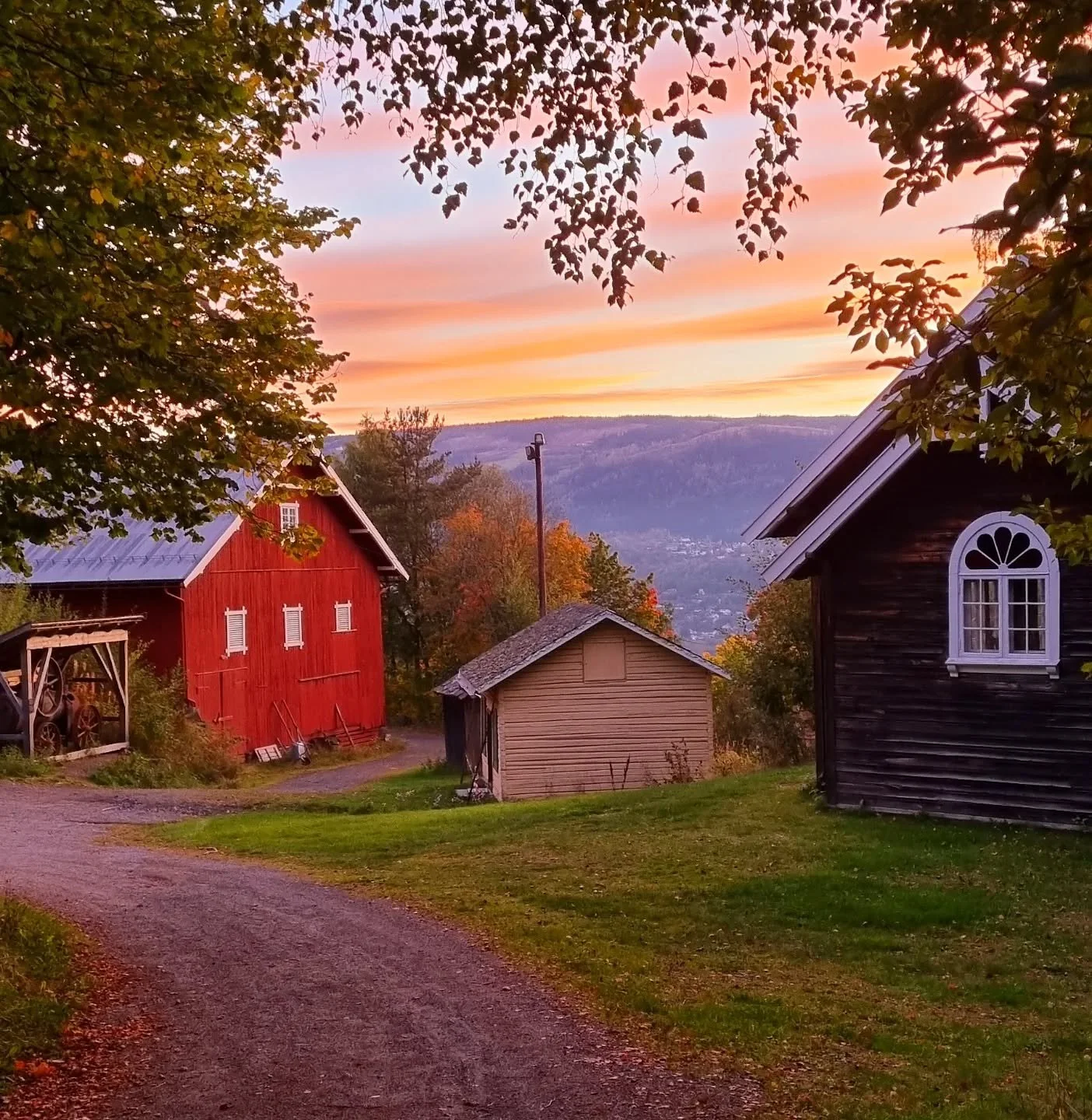 Takk for meg, @maihaugen 
Takk for at jeg ble invitert til å snakke om bureising i Nord-Norge, og forskjellene mellom nord og sør.
42 prosent av de 19 000 bureisingsgårdene i Norge var i den nordligste landsdelen. Likevel er det e
