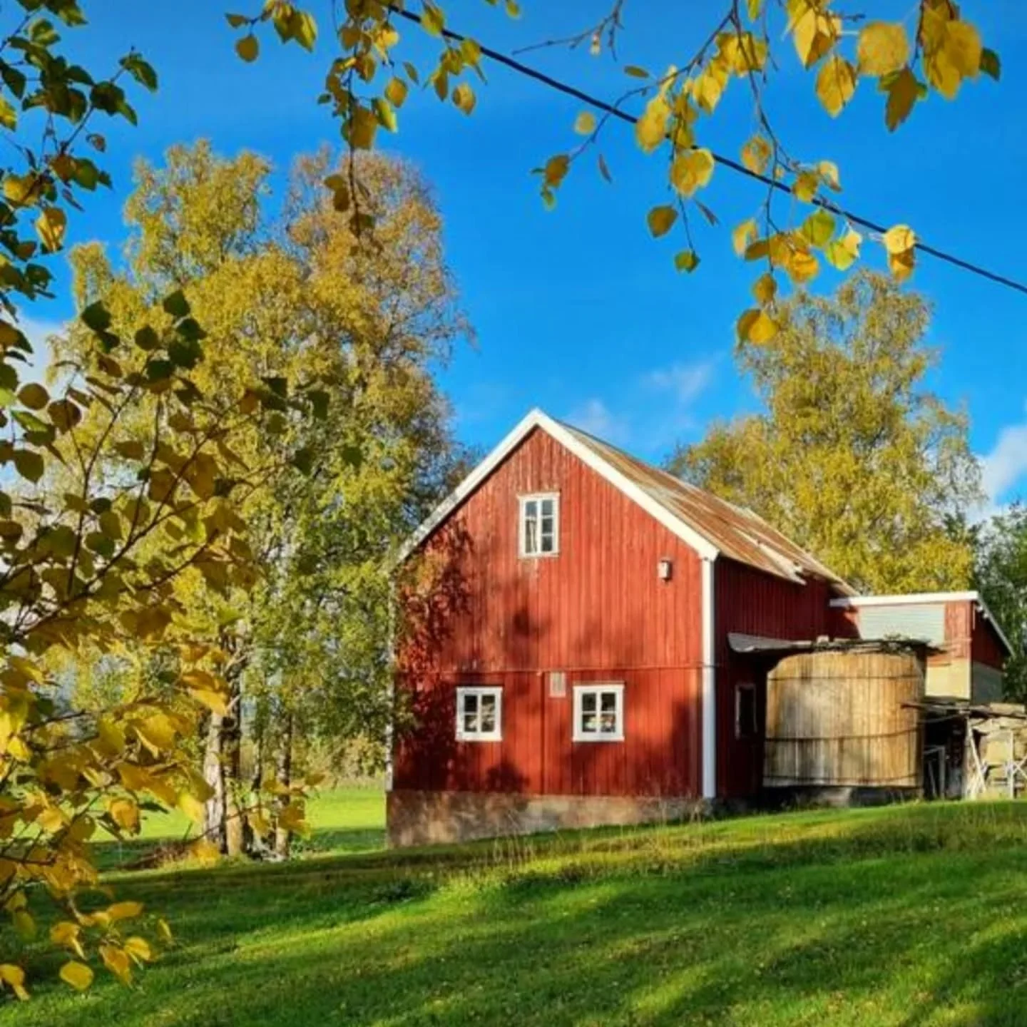 I 2026 er det 10 år siden jeg flyttet hjem til Elvestad.
Det sammenfaller med at jeg også er fullt tilbake i eget foretak, med rom for å videreutvikle Elvestad gård som et møtested innenfor kultur- og naturverdifeltet.