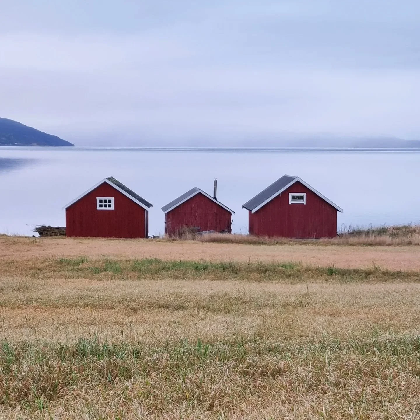 Stolt er nok ordet nå.
Og lettet.
Ja, virkelig lettet. Og glad.
Mitt største bokprosjekt noensinne, Krise, krig og felleskap, er gått i trykken.
Og jeg kan gå ned til havet, krysse jordene og lene meg inntil naustveggen. Ja,