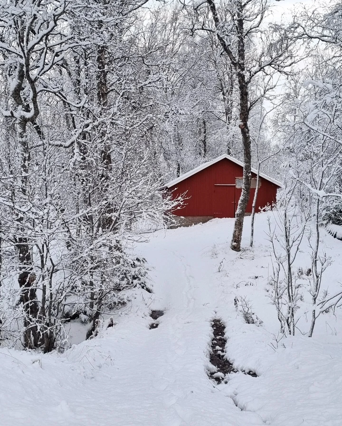 Godt &aring; vandre i sn&oslash;dekket landskap etter ei helg i organisasjonslivets &aring;nd: F&oslash;rst hovedstyrem&oslash;te i @fortidsminneforeningen deretter f&oslash;rste m&oslash;te i gjenopprettet frilansutvalg i @nffo.no

Det er en &aelig;