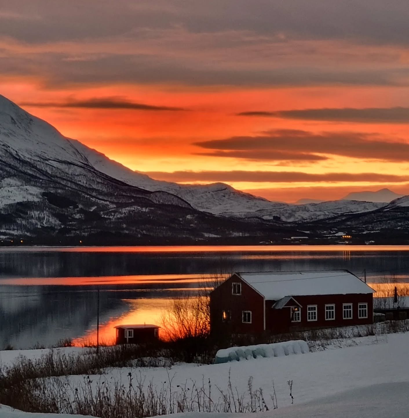 Advent i det gamle snekkerverkstedet. ✨️