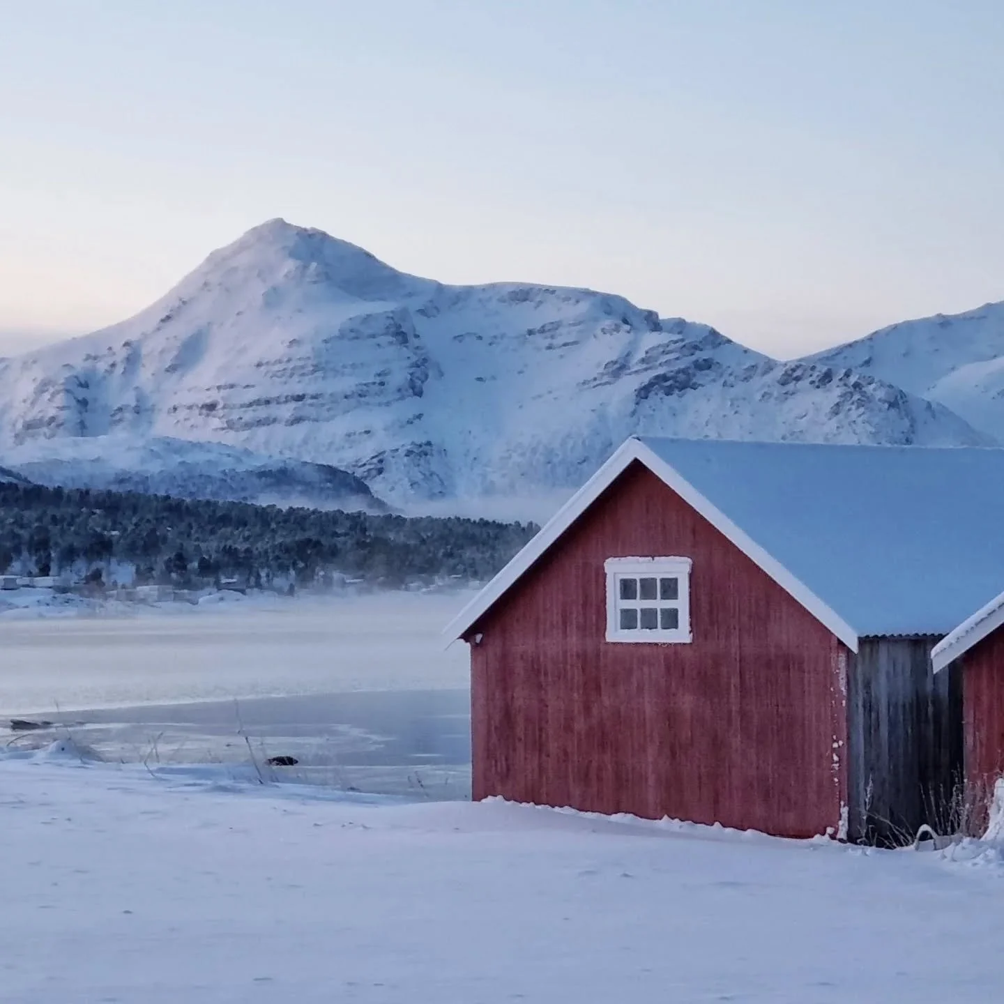 P&aring; &aring;rets siste dag g&aring;r jeg til havet.
Gr&aring; frostr&oslash;yk siger utover fjorden.
Ved landstripa knaker isen i det duvende vannet, mens ei and dykker etter skjell.
TAKK for at du er her, for at akkurat du gj&oslash;r verden lit