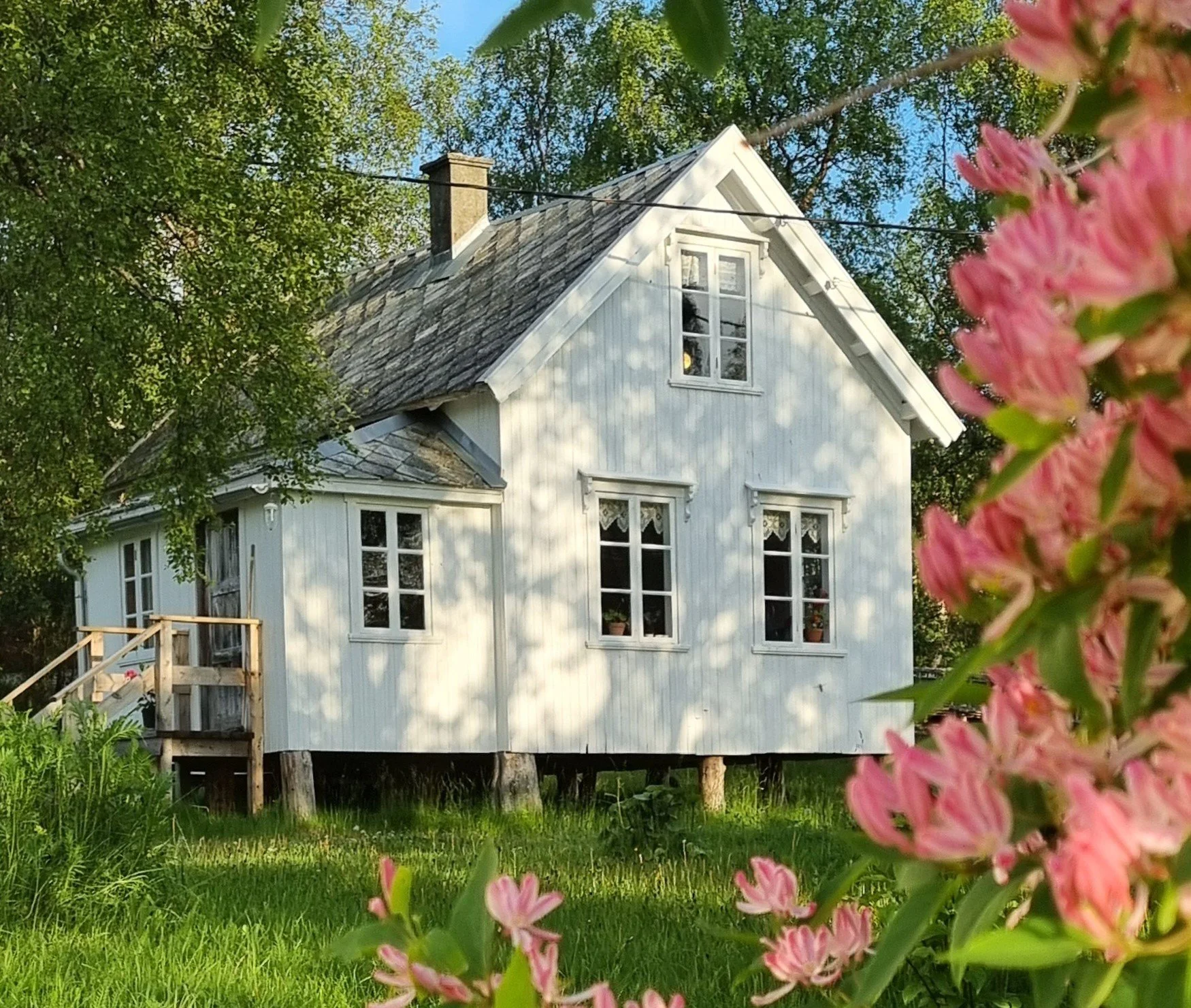 20250709_210522 (1).jpg