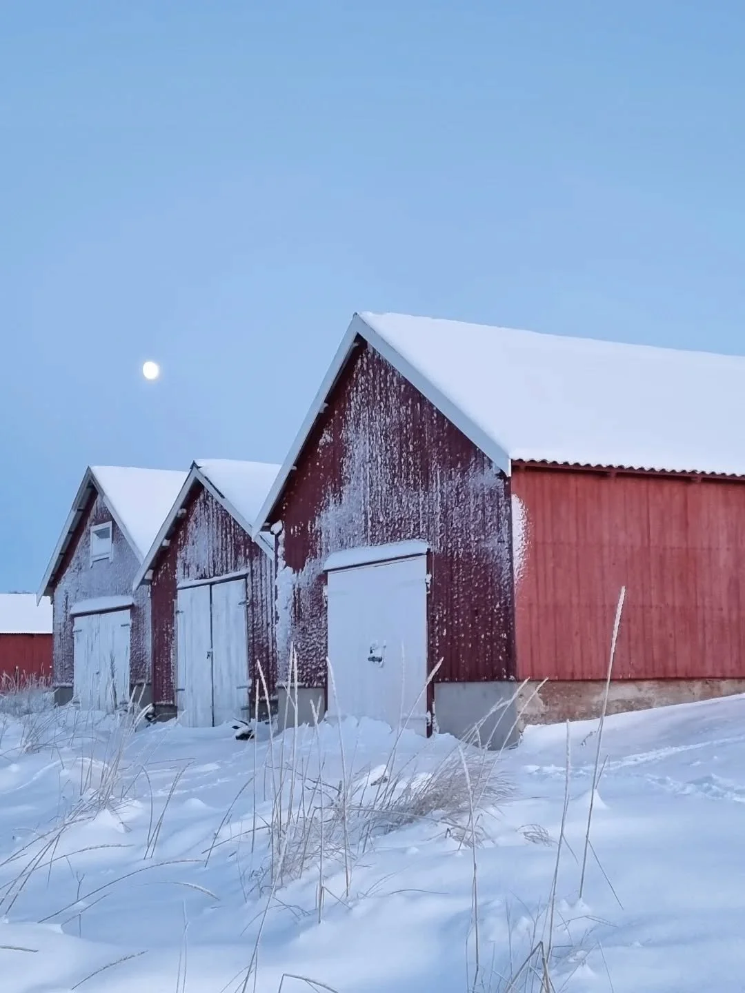Stille s&oslash;ndag morgen.
Jeg deler et bilde og tanker med deg, mens kaffen ryker fra koppen og katta ligger i fanget.
Jeg har fyrt i ovnen, og p&aring; kj&oslash;kkenet st&aring;r et koselig radioprogram lavt p&aring;.
Det er hverdags-s&oslash;nd