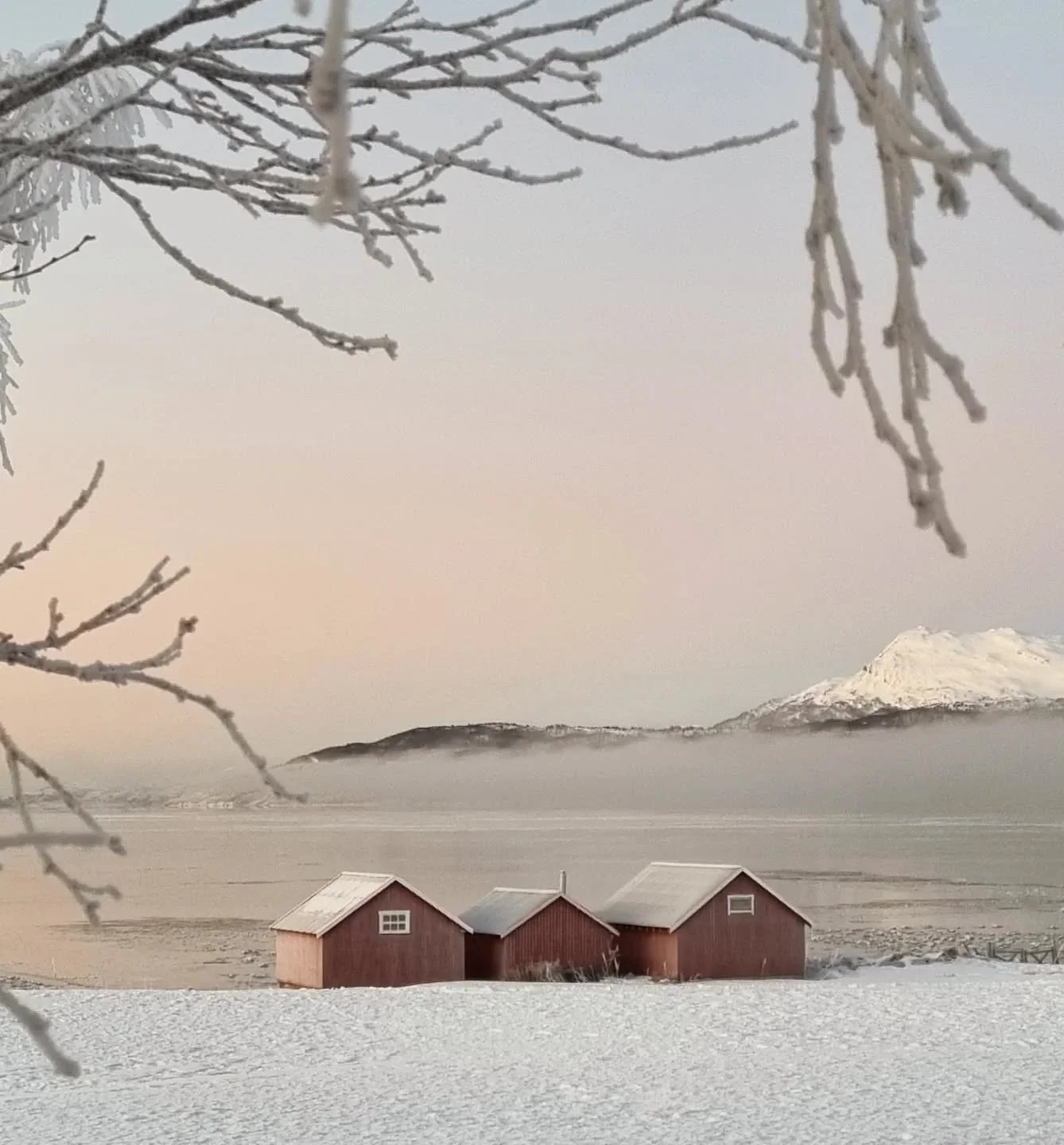 Lyset i nord
Lar seg ikke beskrive
Lar seg knapt fange
Med &oslash;ye og sinn

Men det treffer hjertet
Som en lyskaster i m&oslash;rket
Og gir lovnad
Om ei ny tid