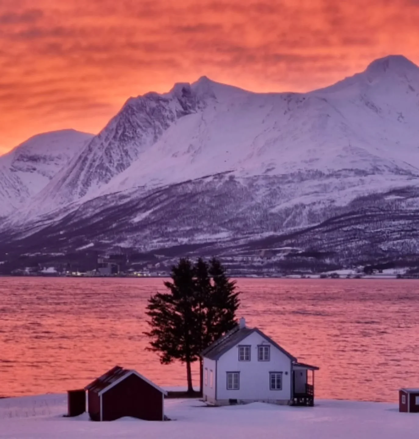 Februar 2025.
Et &aring;r siden.
Den gang i siste &aring;ret som prosjektansatt forfatter for &aring; skrive Balsfjord og Malangens historie bind III.
N&aring;, tilbake i eget foretak som frilans historiker, journalist, forfatter.
Det f&oslash;les fr