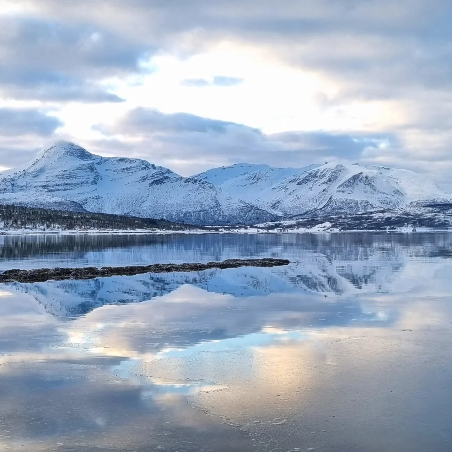 Liv og lys ved stille sj&oslash;.