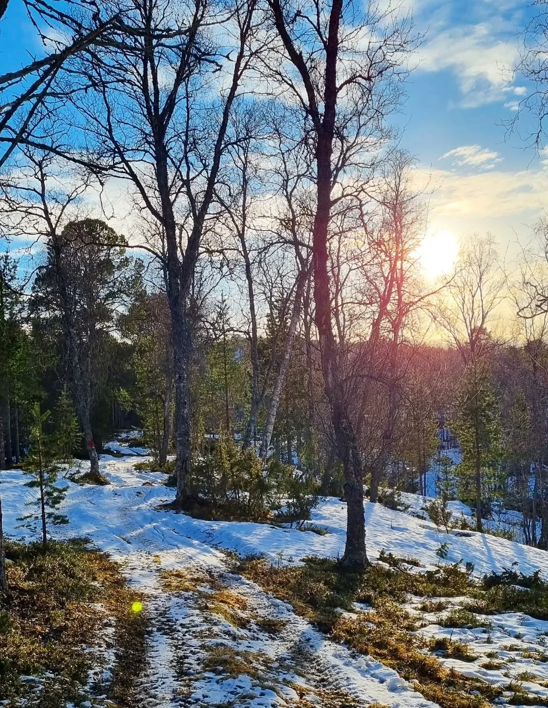 Dette burde v&aelig;rt nok for oss.
Dette, og mat, kj&aelig;rlighet og et sted &aring; h&oslash;re til.
Men, det blir visst aldri nok.
Mennesket vil alltid ha mer.
Er denne trangen nedfelt i oss fra vi blir til?