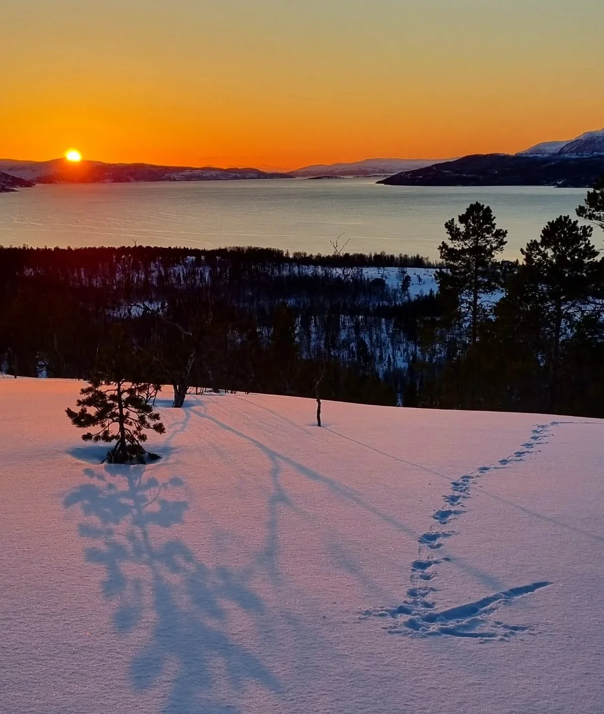P&aring;ska 2026 ble tilbragt i sin helhet i Cornwall og Devon, England. Innholdsrike, inspirerende og dr&oslash;mmeaktige dager langt utenfor hverdagen hjemme.
Jeg kj&oslash;pte b&oslash;ker, s&aring; klart, b&oslash;ker om skriving og om h&aring;p,