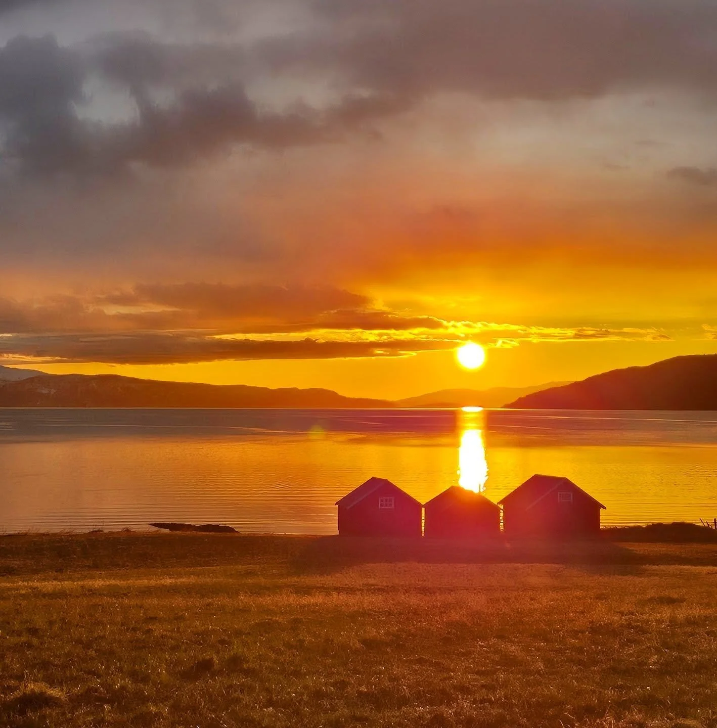 Ville dele dette &oslash;yeblikket i tid med deg.
En kveld i mai, innerst i en nordnorsk fjord.
I stillheten ved havkanten hvilte tjeld, m&aring;ke og flere ender.
Jeg listet meg tilbake og lot dem ha kvelden i fred.