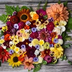 Yorkshire Edible Flowers