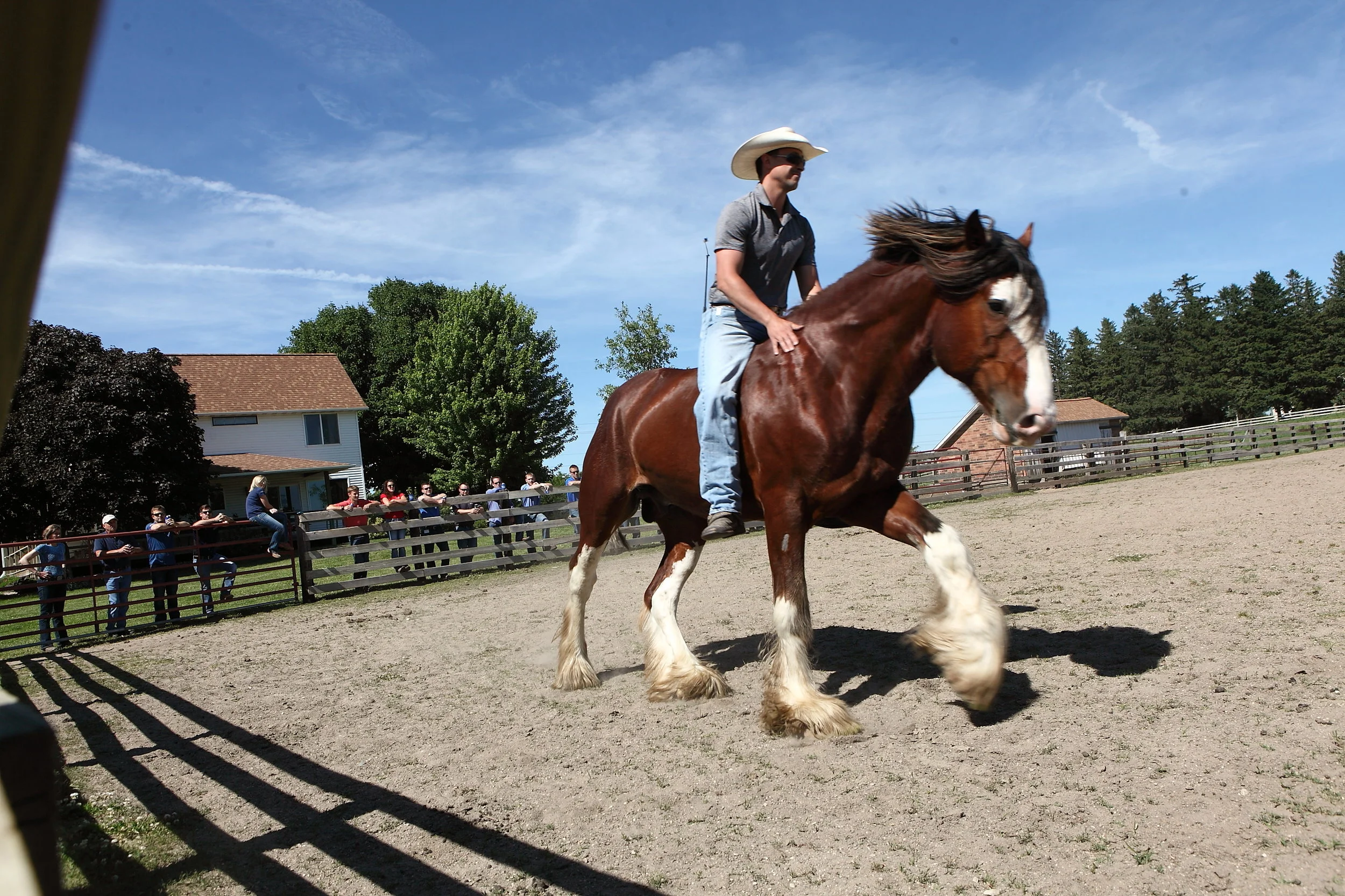 Company Meeting, DCI/Formation Group