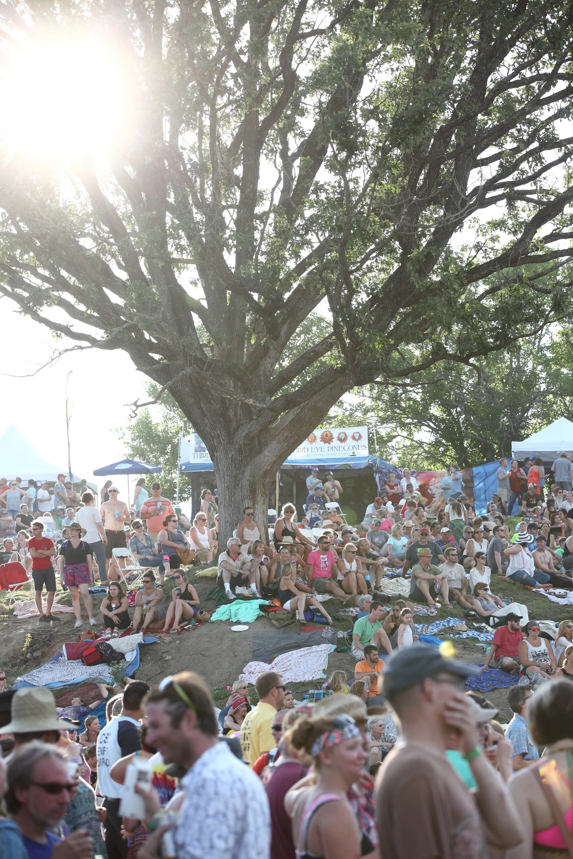 Hinterland Music Festival