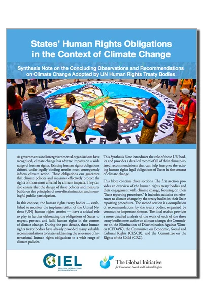 States' Human Rights Obligations in the Context of Climate Change 2017
