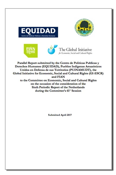 Parallel Report: Netherlands (CESCR) Sixth Periodic Report of the Netherlands during the 61st Session (2012)