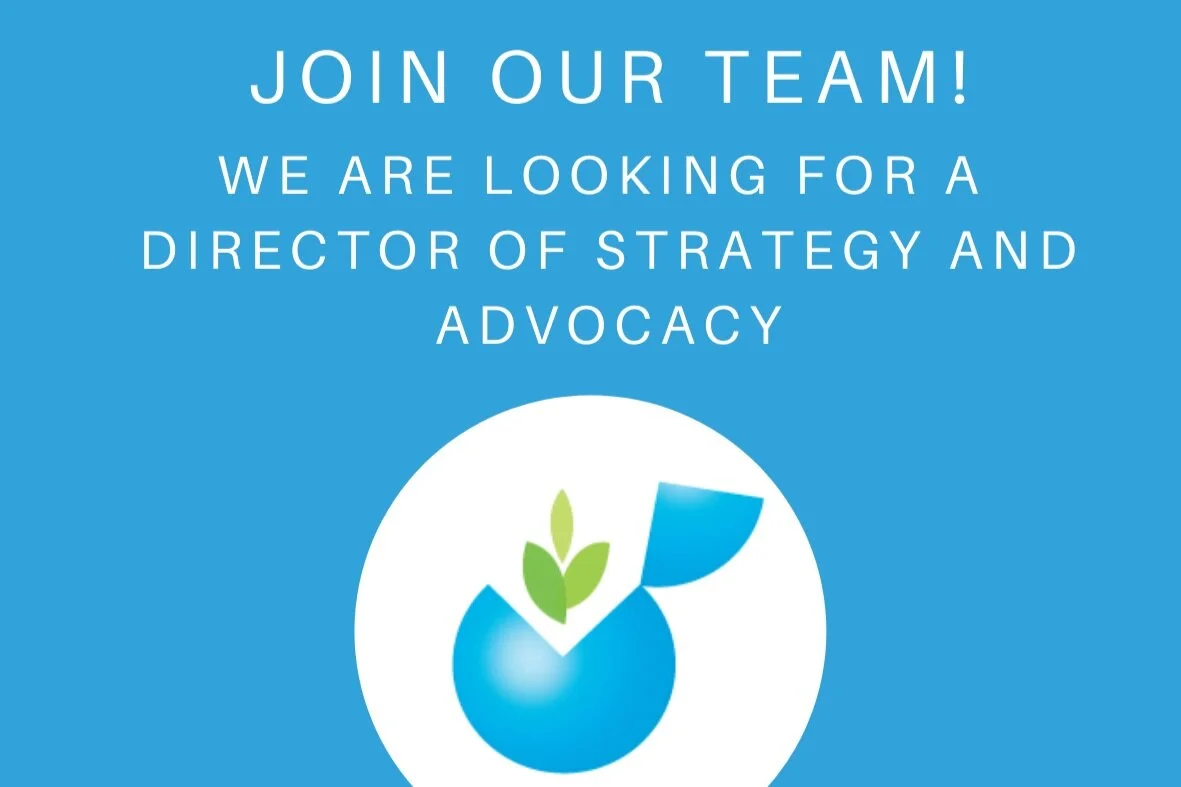 Join our team! We are recruiting a Director of Strategy and Advocacy | Deadline for applications: 02 July 2021