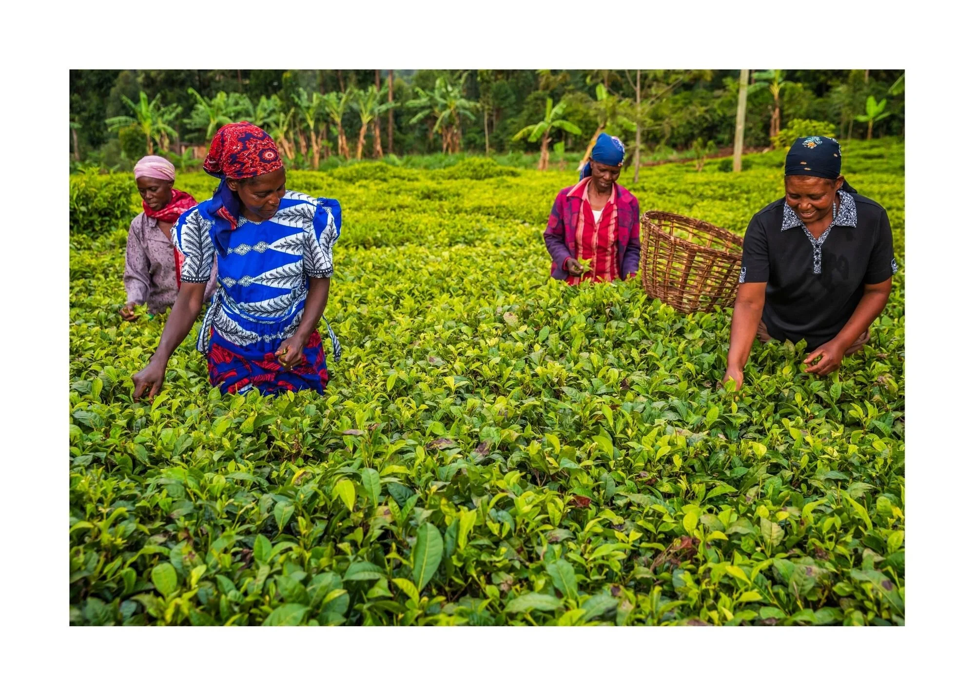 Marriage and Property Rights: GI-ESCR and partners build pathways to gender equality in Asia and Africa  