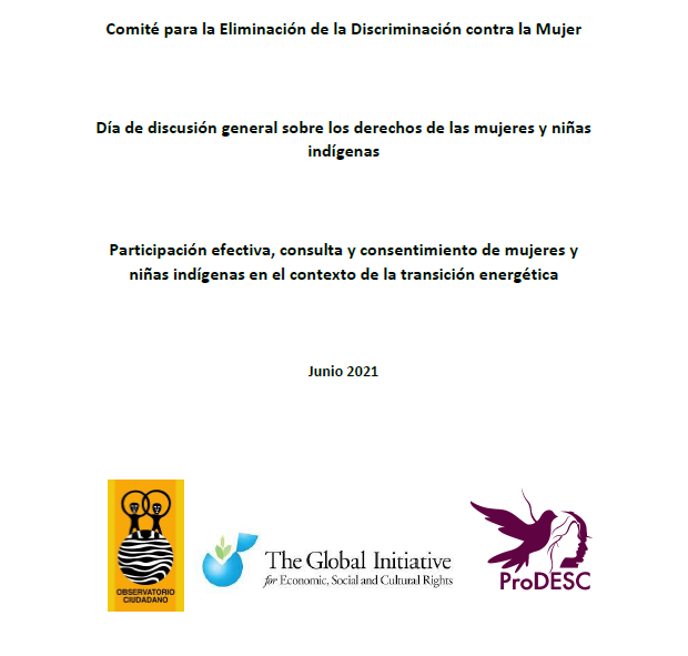 Joint written submission to the CEDAW General Recommendation on the rights of indigenous women and girls