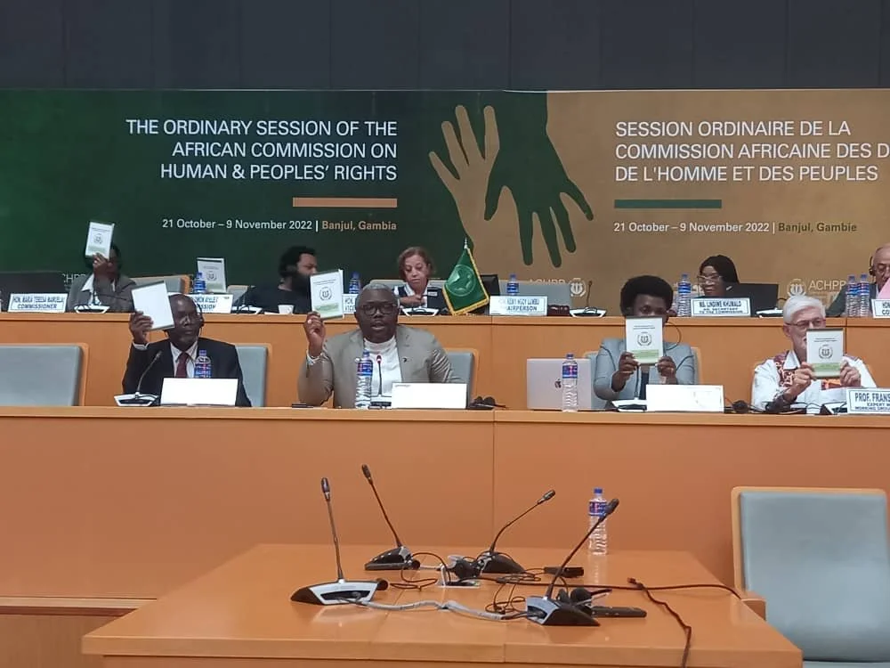 GI-ESCR &amp; partners welcome the African Commission’s landmark General Comment on States' obligations with regard to public services