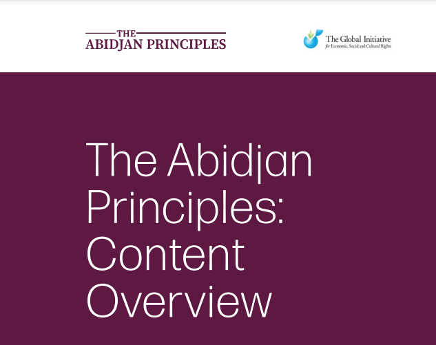 New Abidjan Principles Briefs