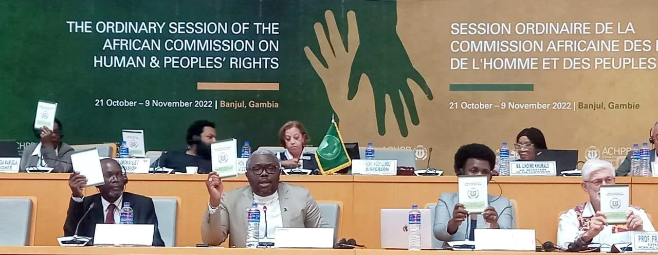 GI-ESCR at the 73rd Ordinary Session of the African Commission on Human and Peoples' Rights (ACHPR)