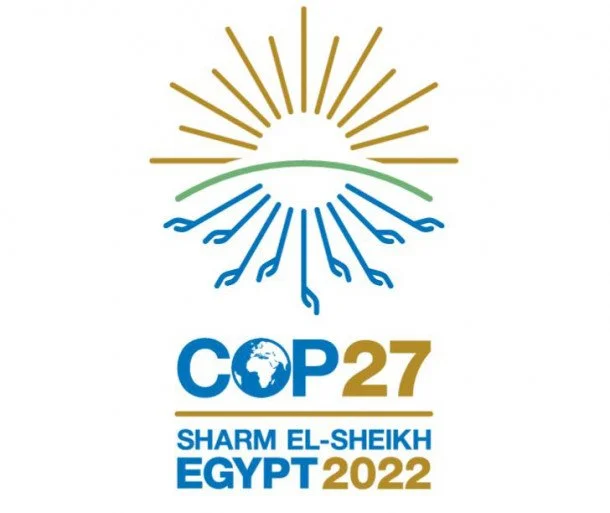 GI-ESCR's Priorities and Participation at CoP27 