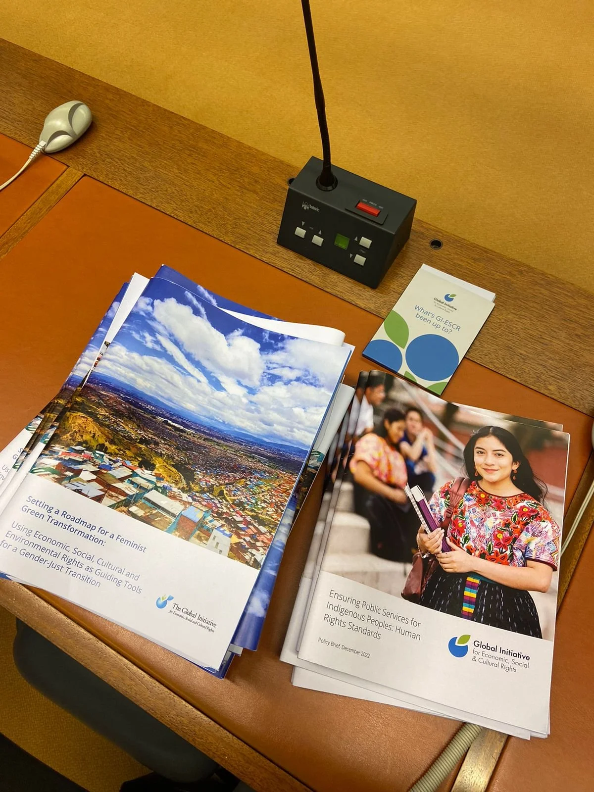 GI-ESCR at the 84th session of the Committee on the Elimination of Discrimination Against Women 