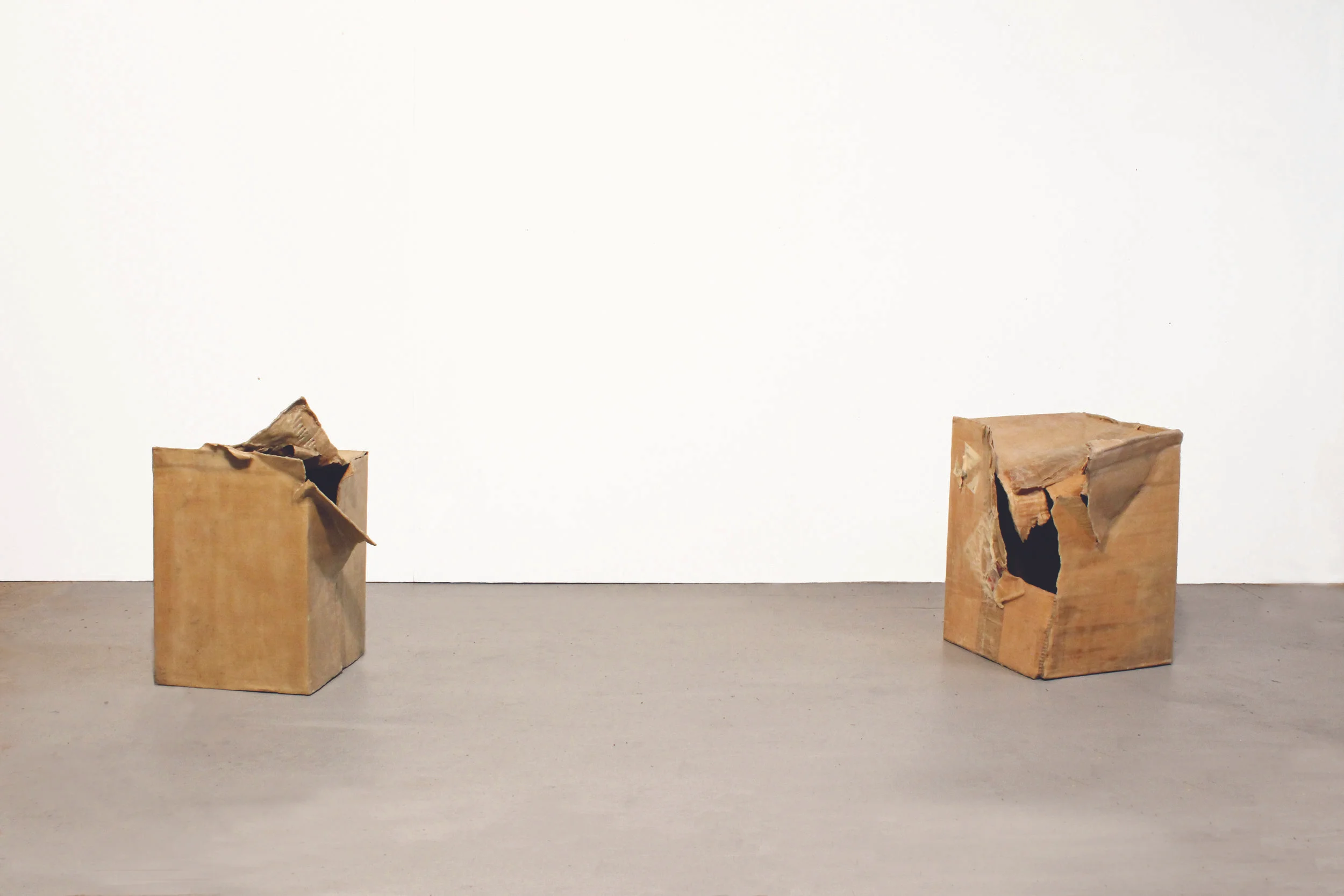 Conversation (culturally significant meaning encoded in an affecting sensuous medium) 2014, corrugated cardboard boxes, wax and resin, 520 x 390 x 290mm and 460 x 440 x 330mm.