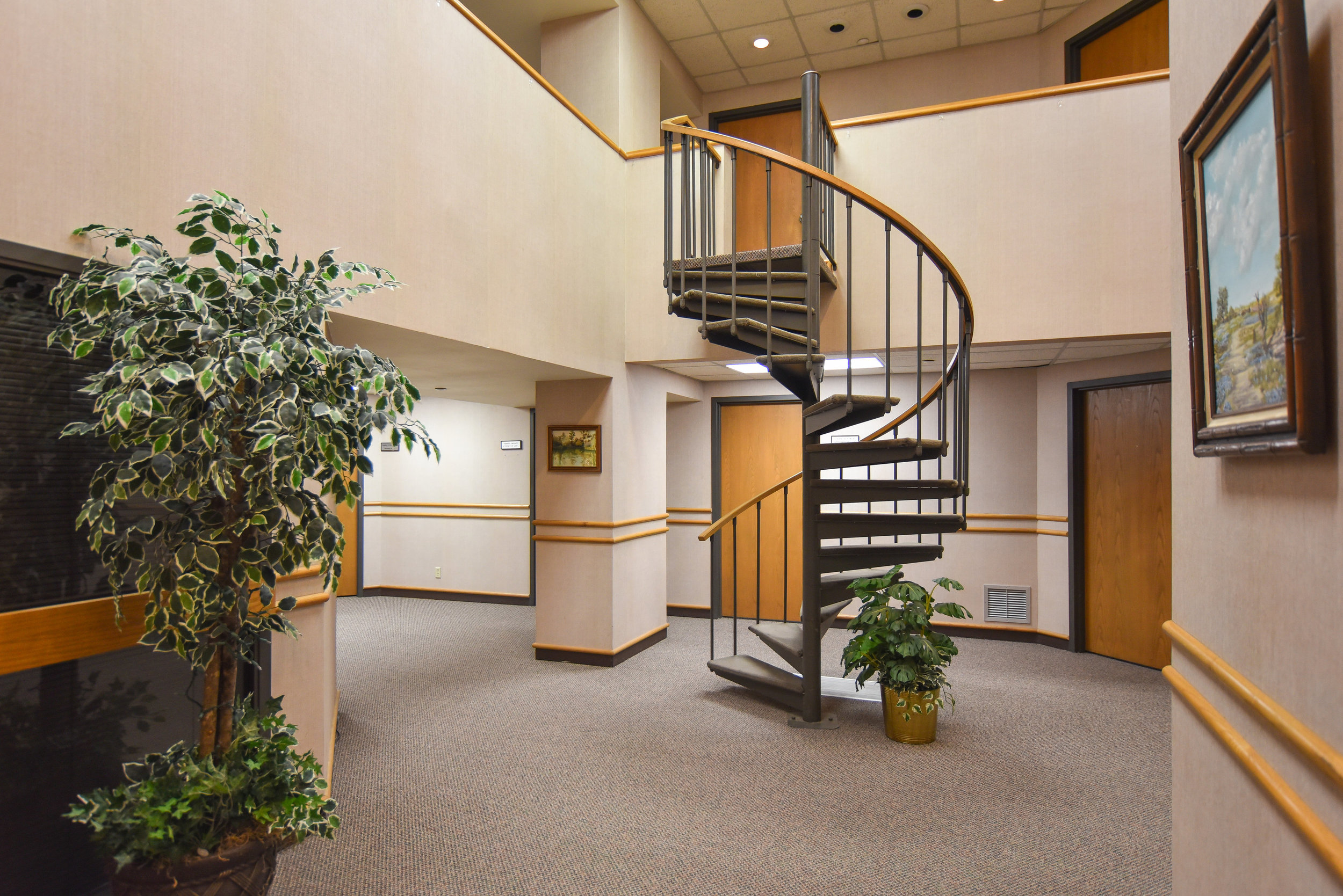 white-realty-management-co