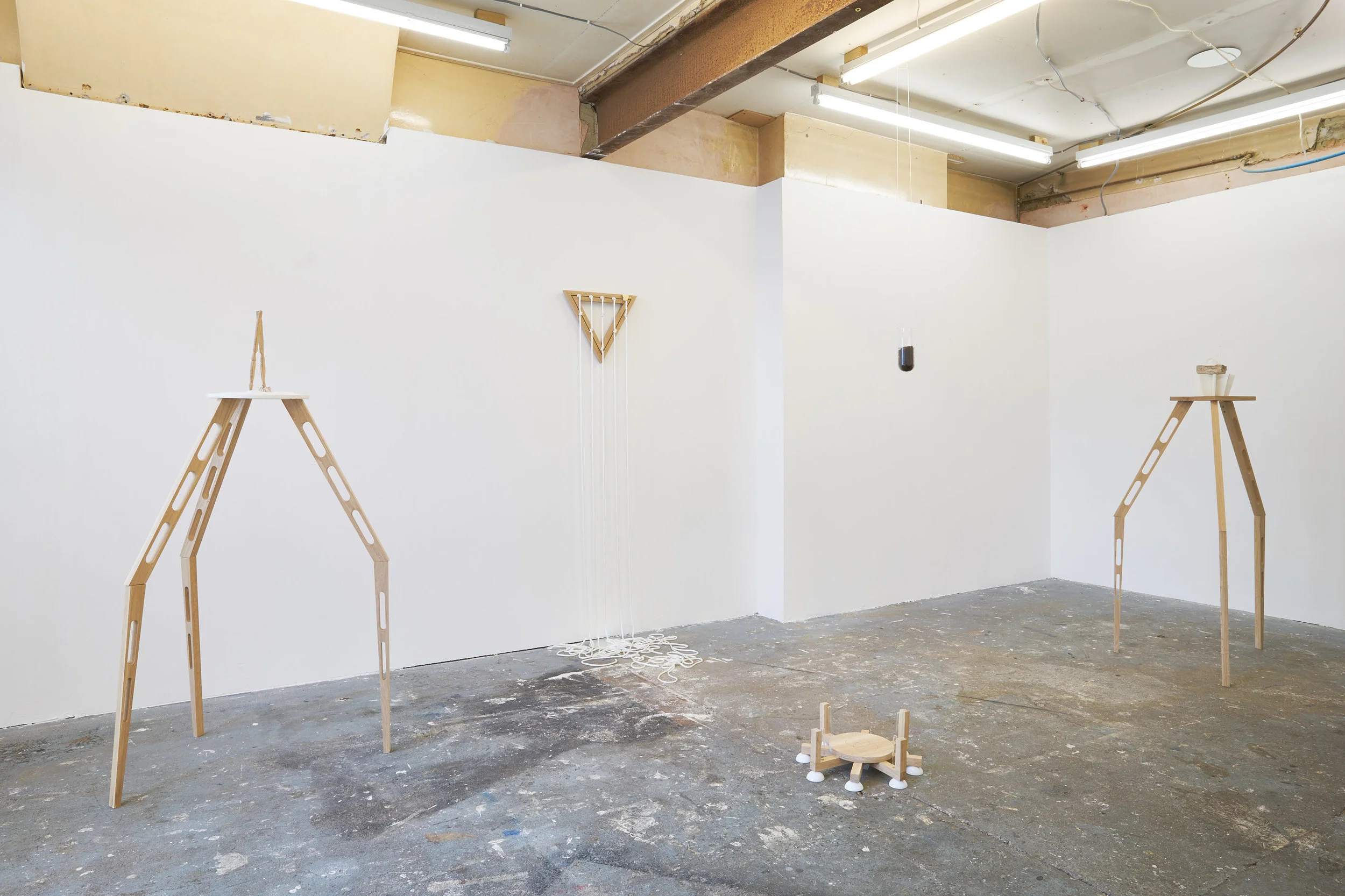 Lisa Radon, Wholeness Engine , 2016. Installation view. Photo by Original&theCopy. Image courtesy the artist and Jupiter Woods, London.