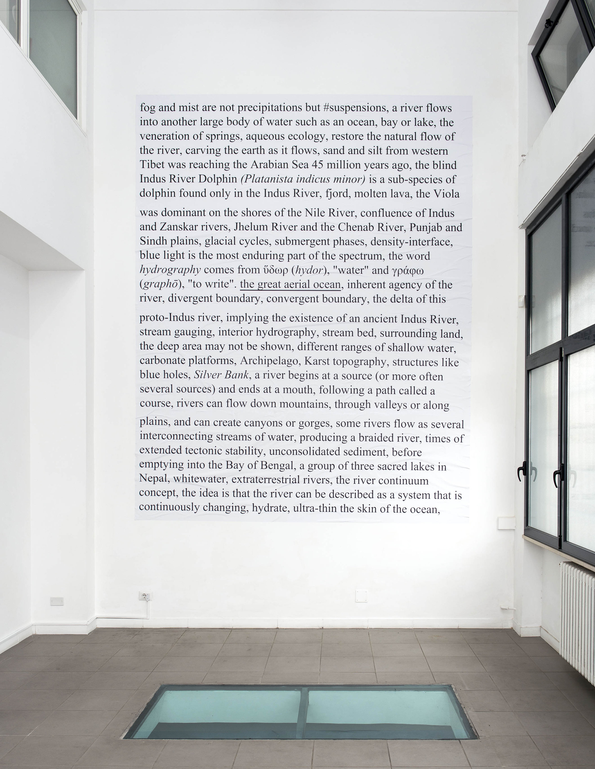 Emily Jones, We Are Water. Platanista indicus minor, 2014. Photo by Giorgio Benni. Image courtesy the artist, curators and The Gallery Apart, Rome.
