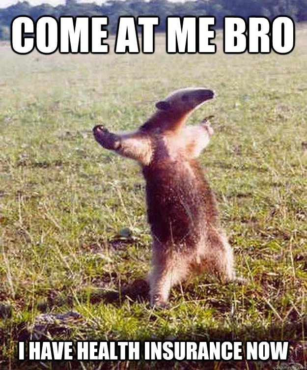 Come at me bro.jpeg
