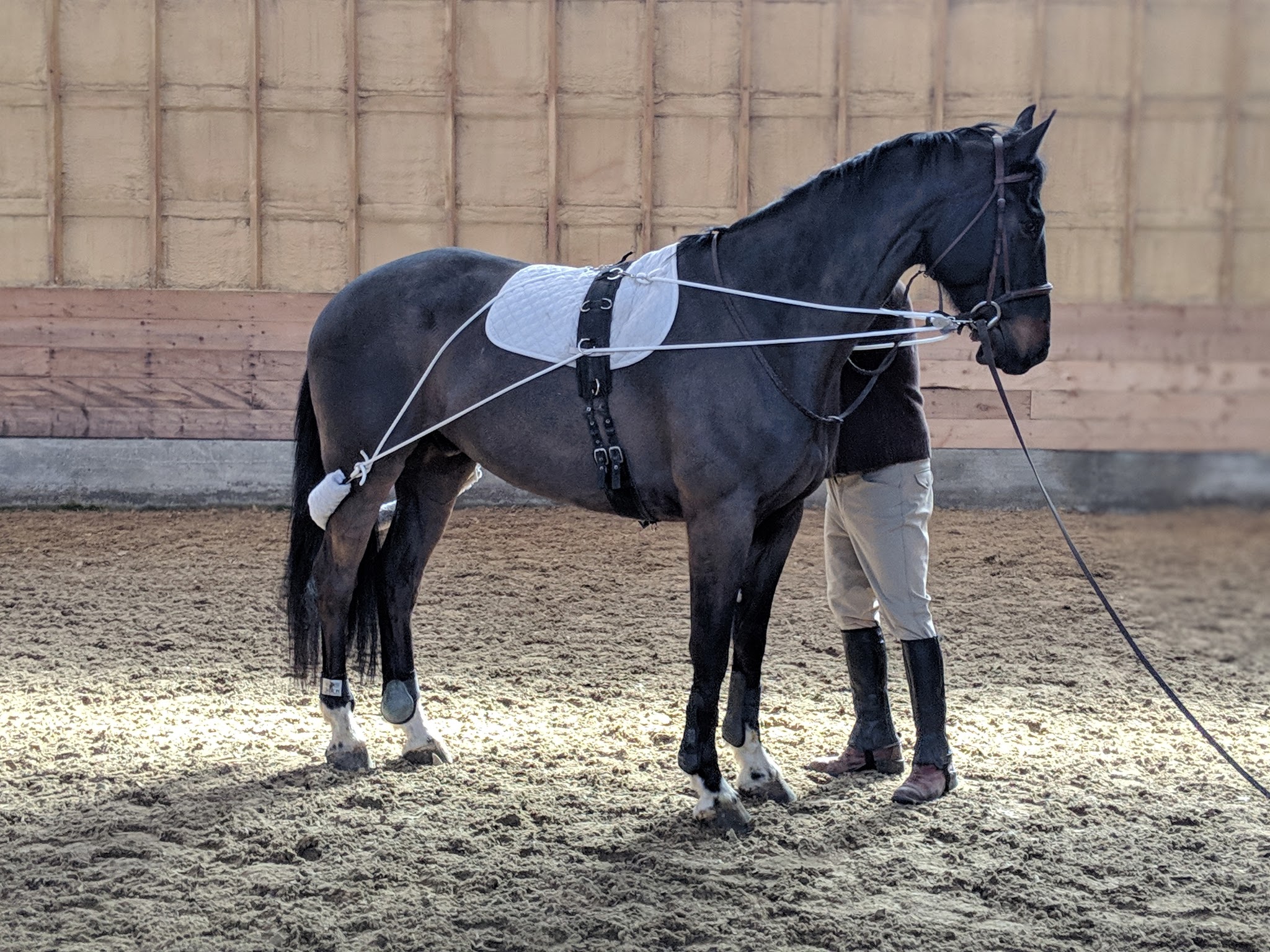 Work time for Enigma…