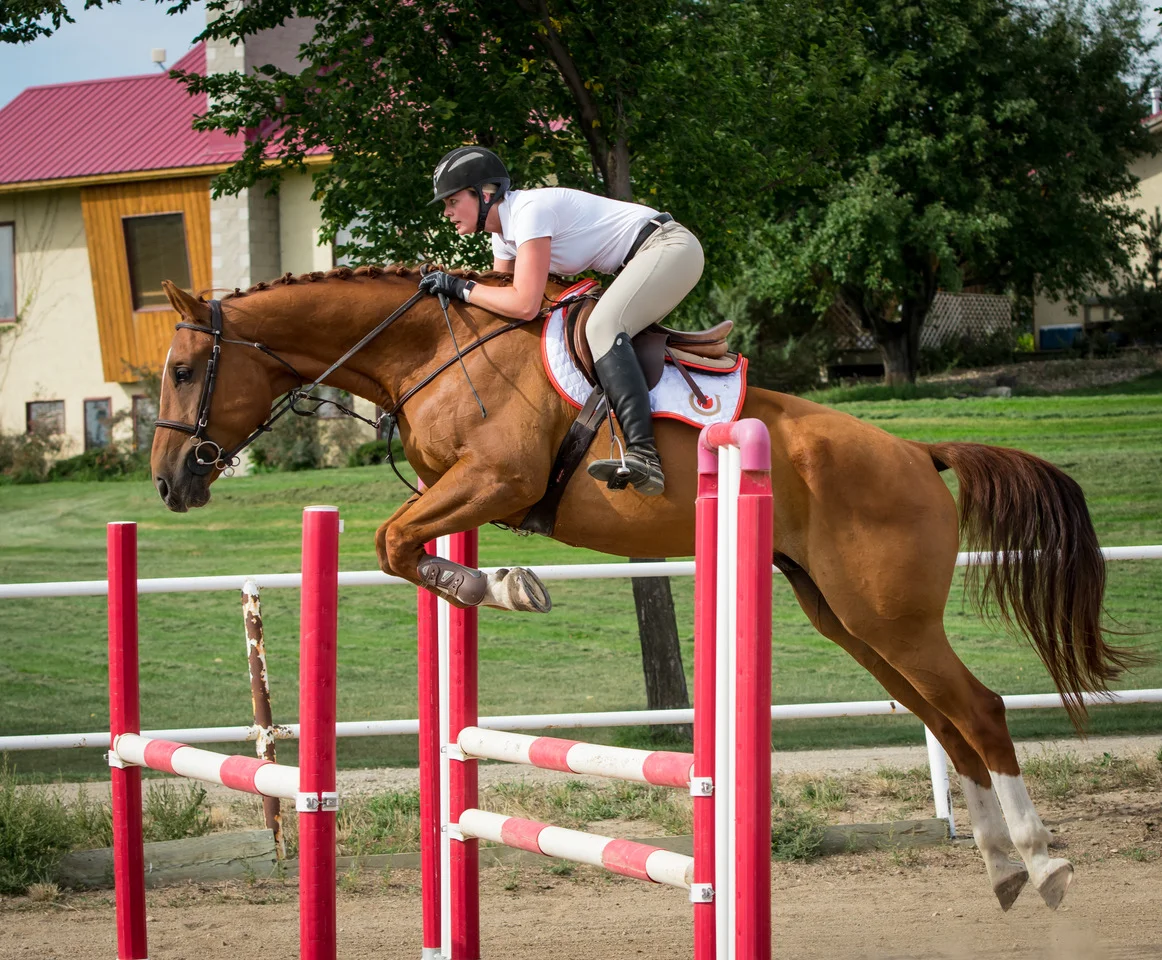 Indiana KVS, in training August 2019