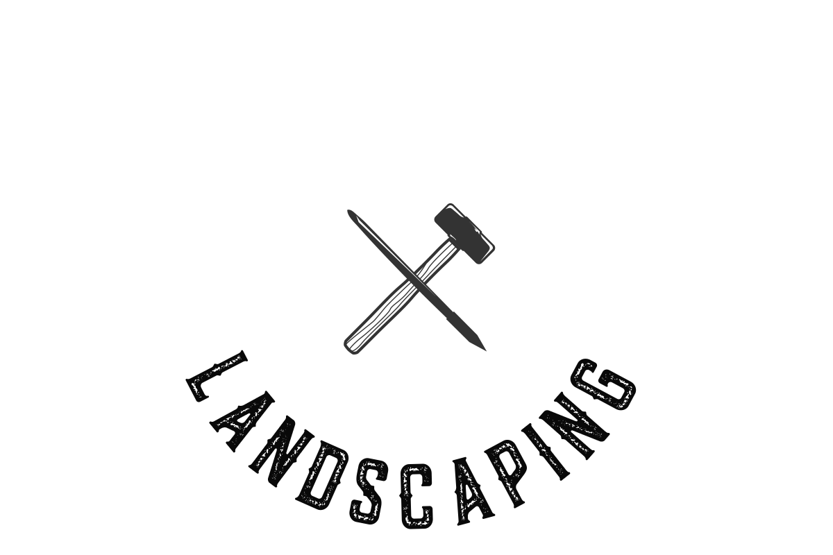 trasparent logo .png