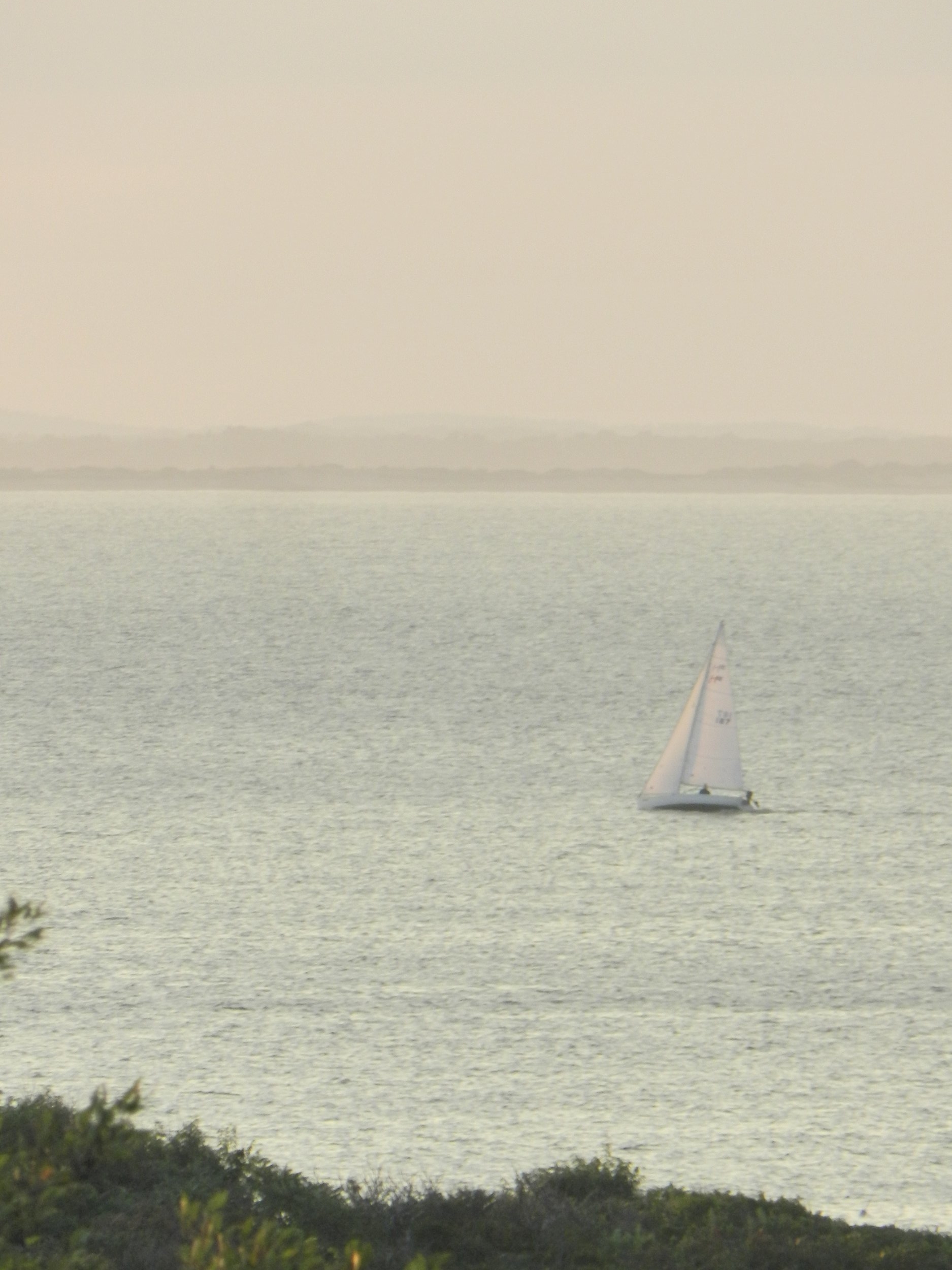  Sailboats and working fishing boats from Gloucester Harbor are frequent sights. 