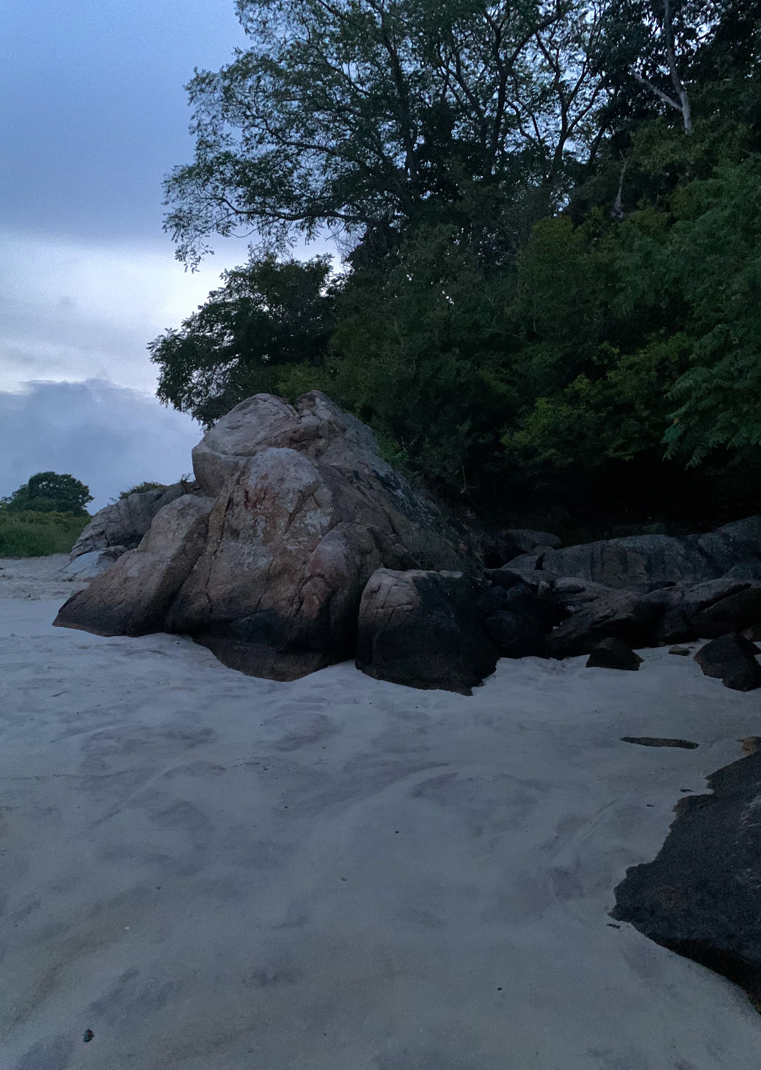  A twilight scene after the tide has gone out. 