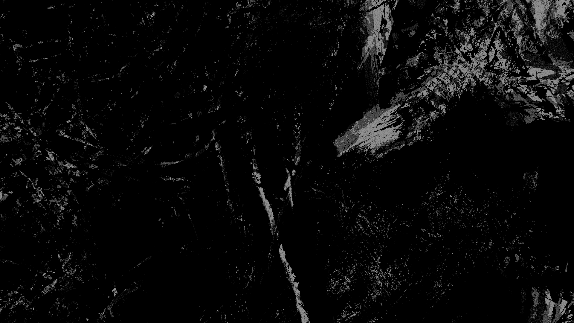 BackNoir.png