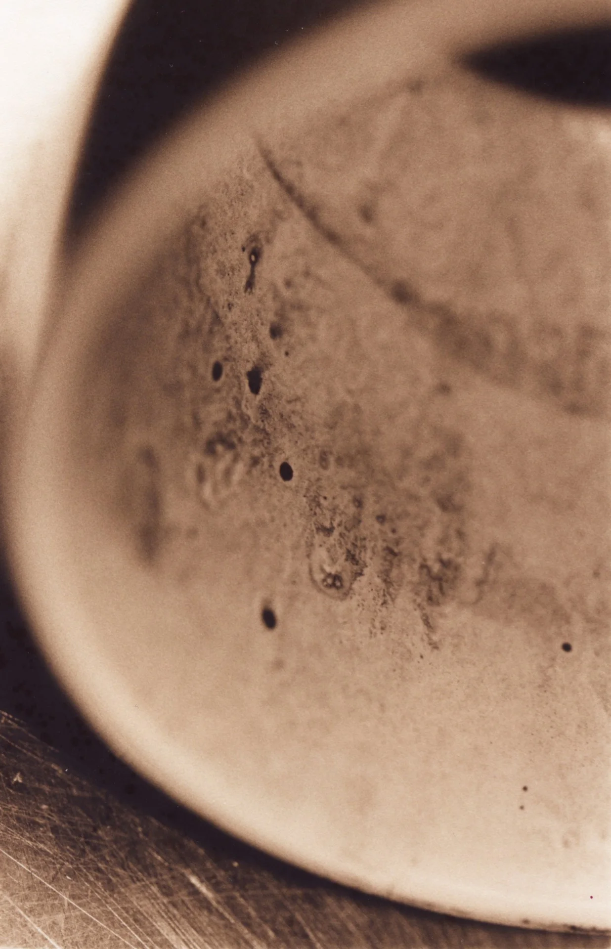 aLambart.coffee11.jpg