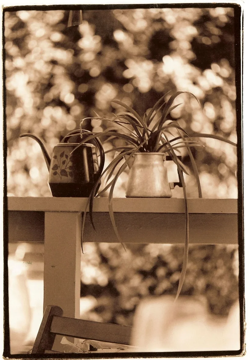 spiders in the teapot .jpg