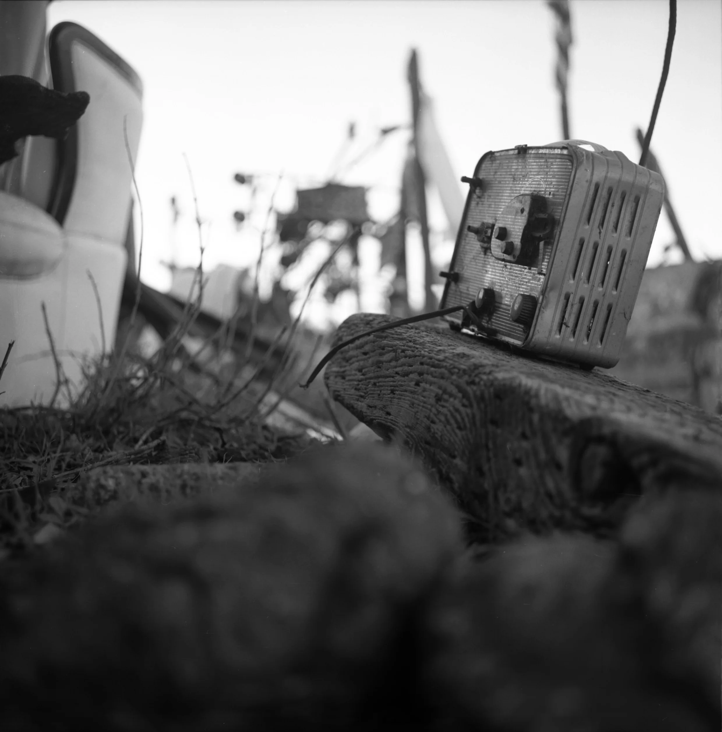 Albany Bulb projector.jpg