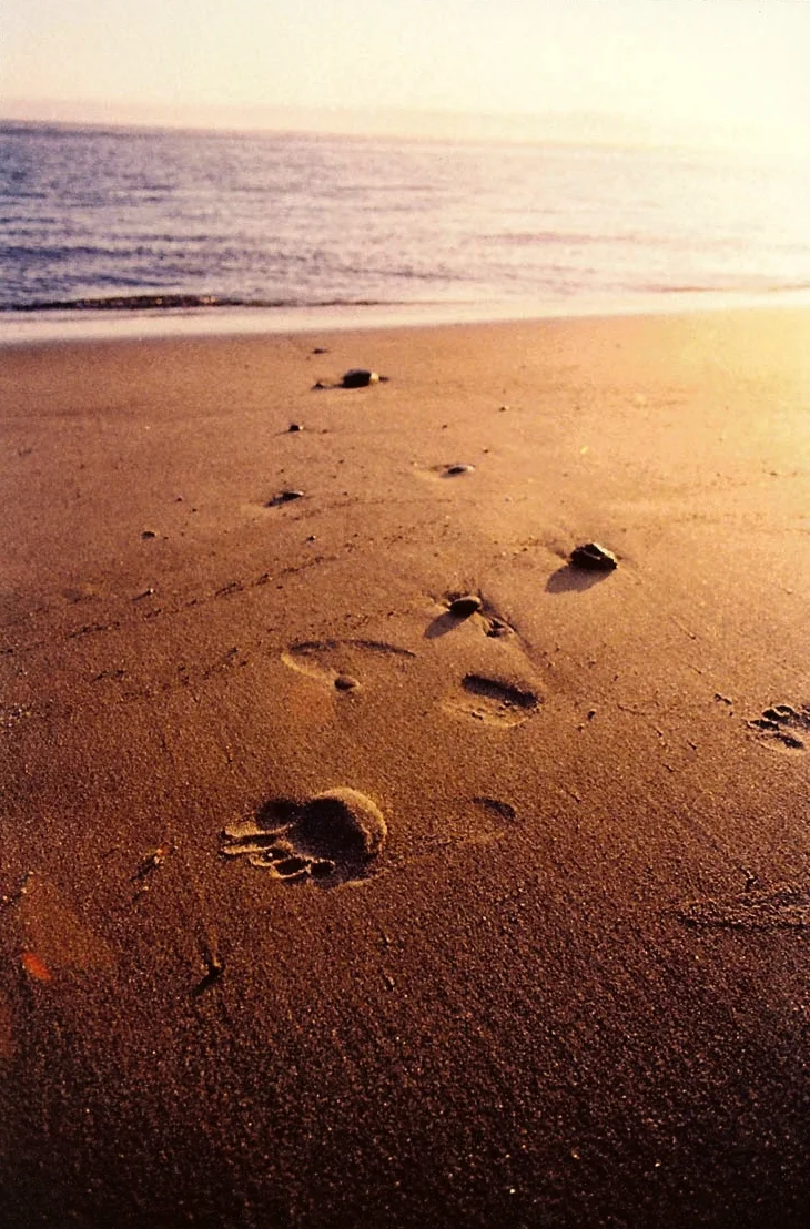 footprints on the beach.jpg