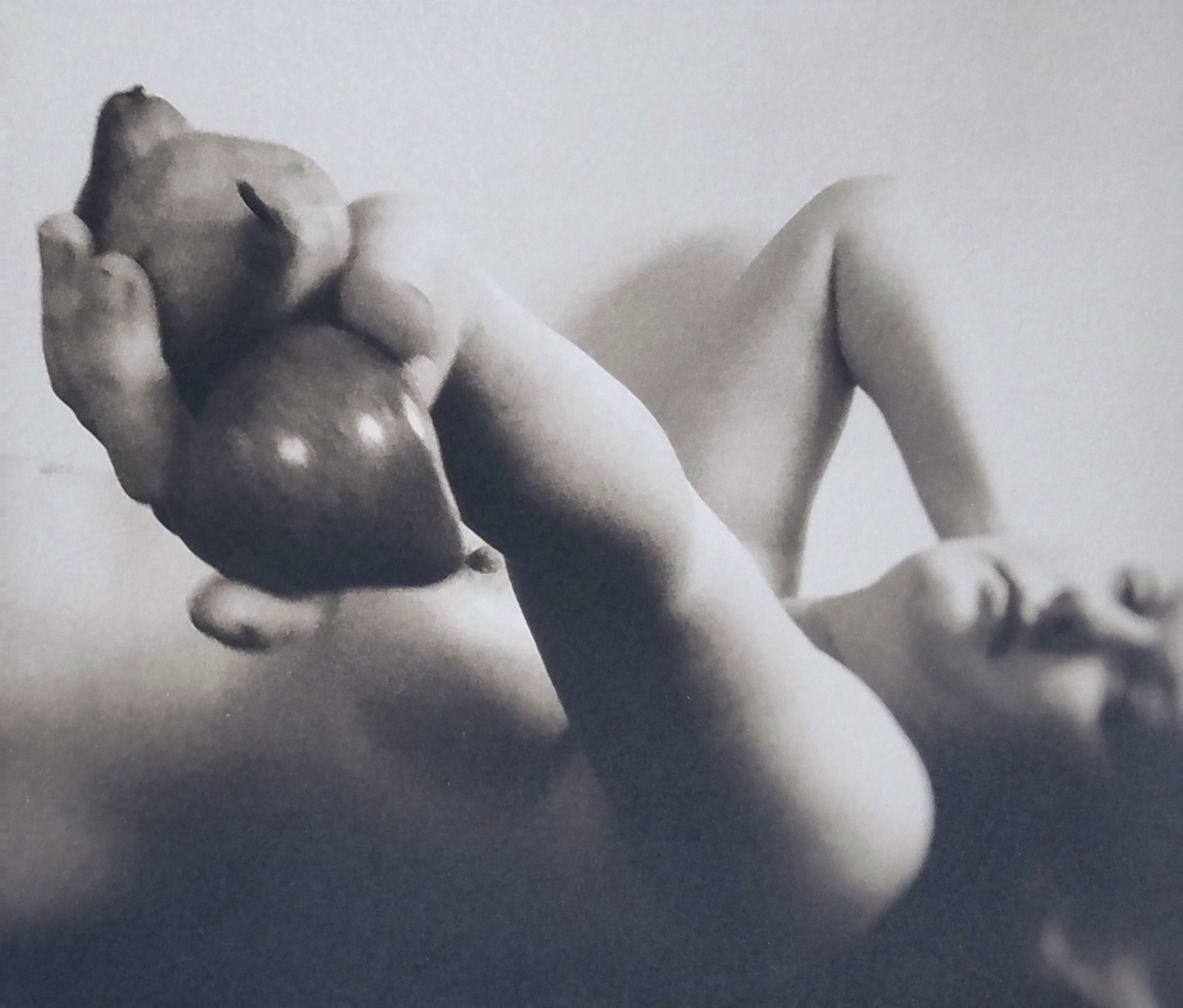 Eve Preferred Pears