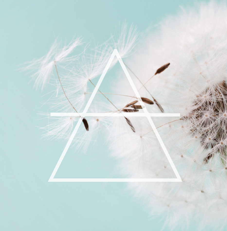 Wind Element.png