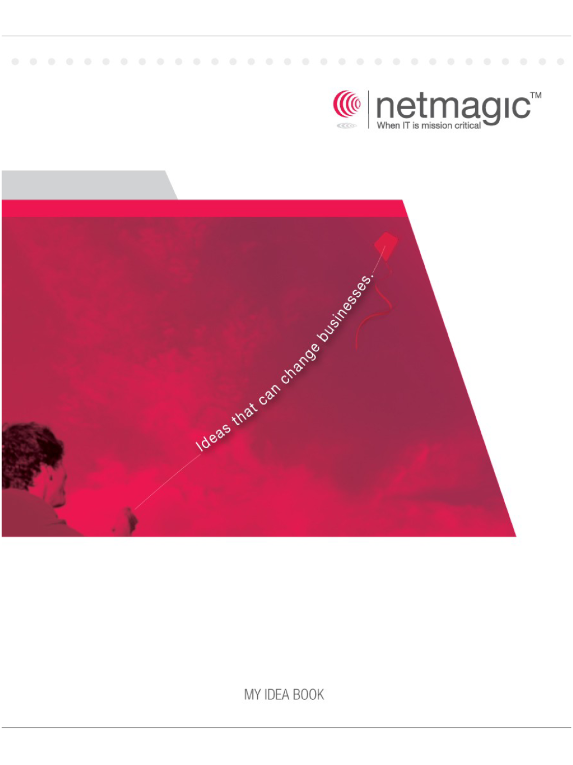 Netmagic Direct Mailer