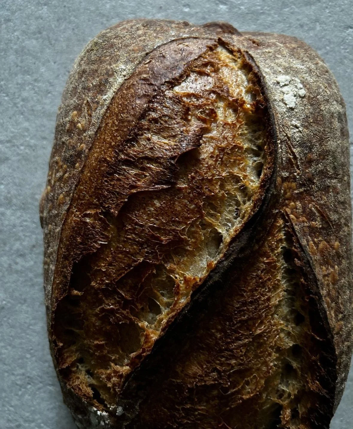 Protein Enriched Sourdough - Thursday