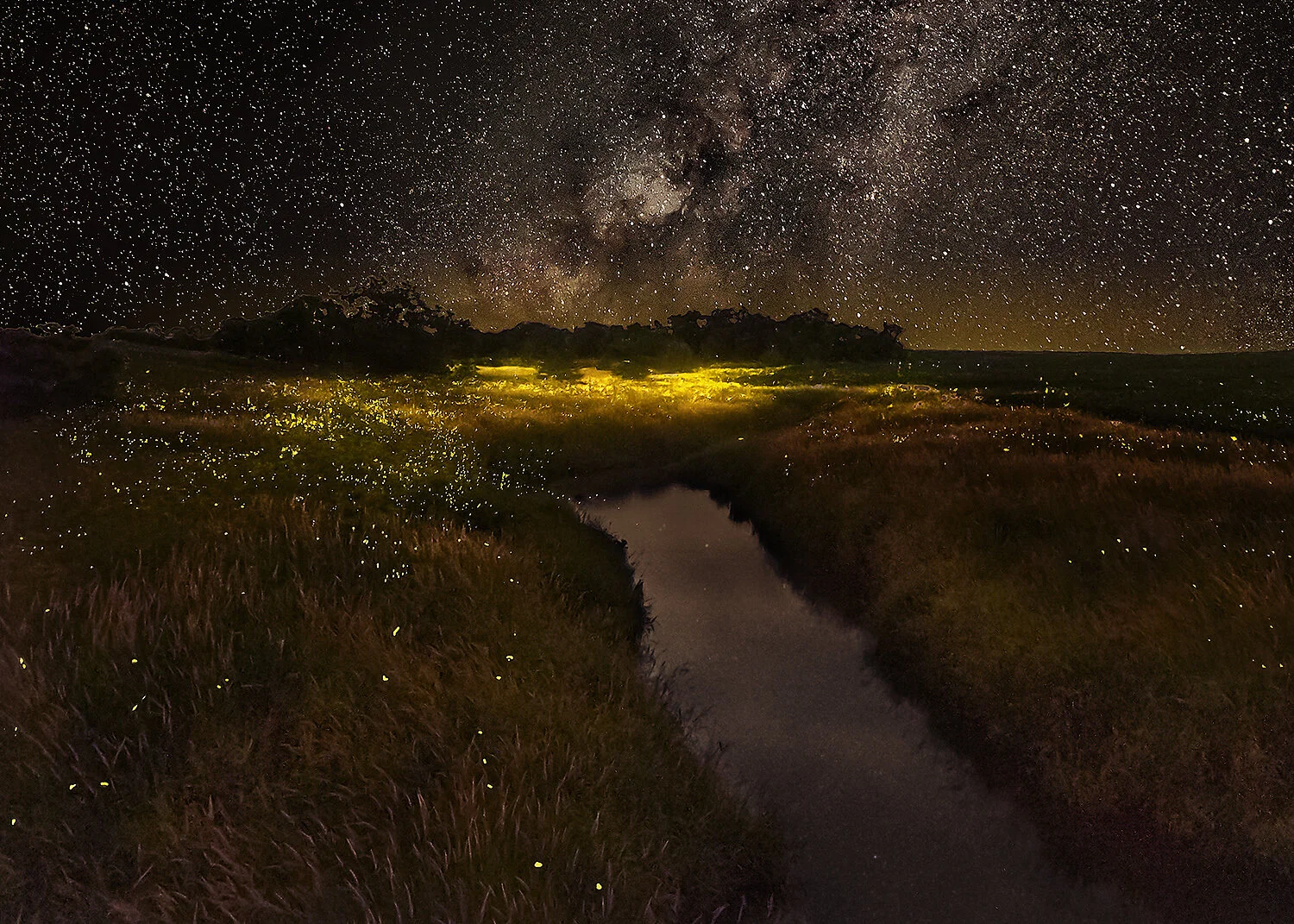 Fireflies Illuminate Distant Meadow